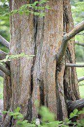 《战地6》效应！《战地2042》更新后在线峰值达3万