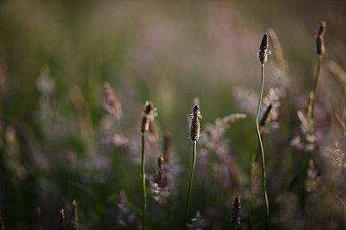 《自杀小队：战胜正义联盟》封闭A测公布 预注册开启